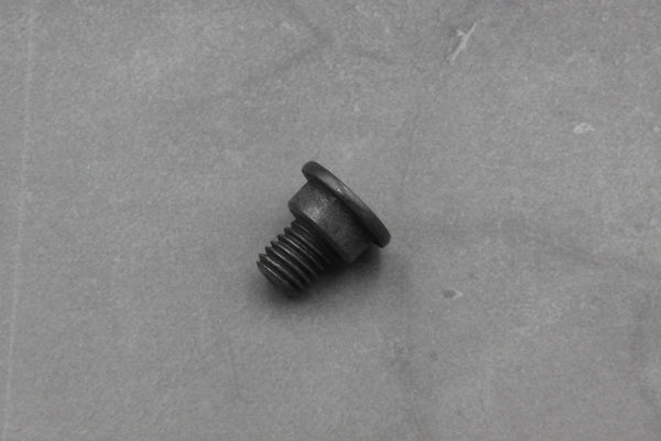 Brake Rotor Screw - M8 x 14 - 34211161806